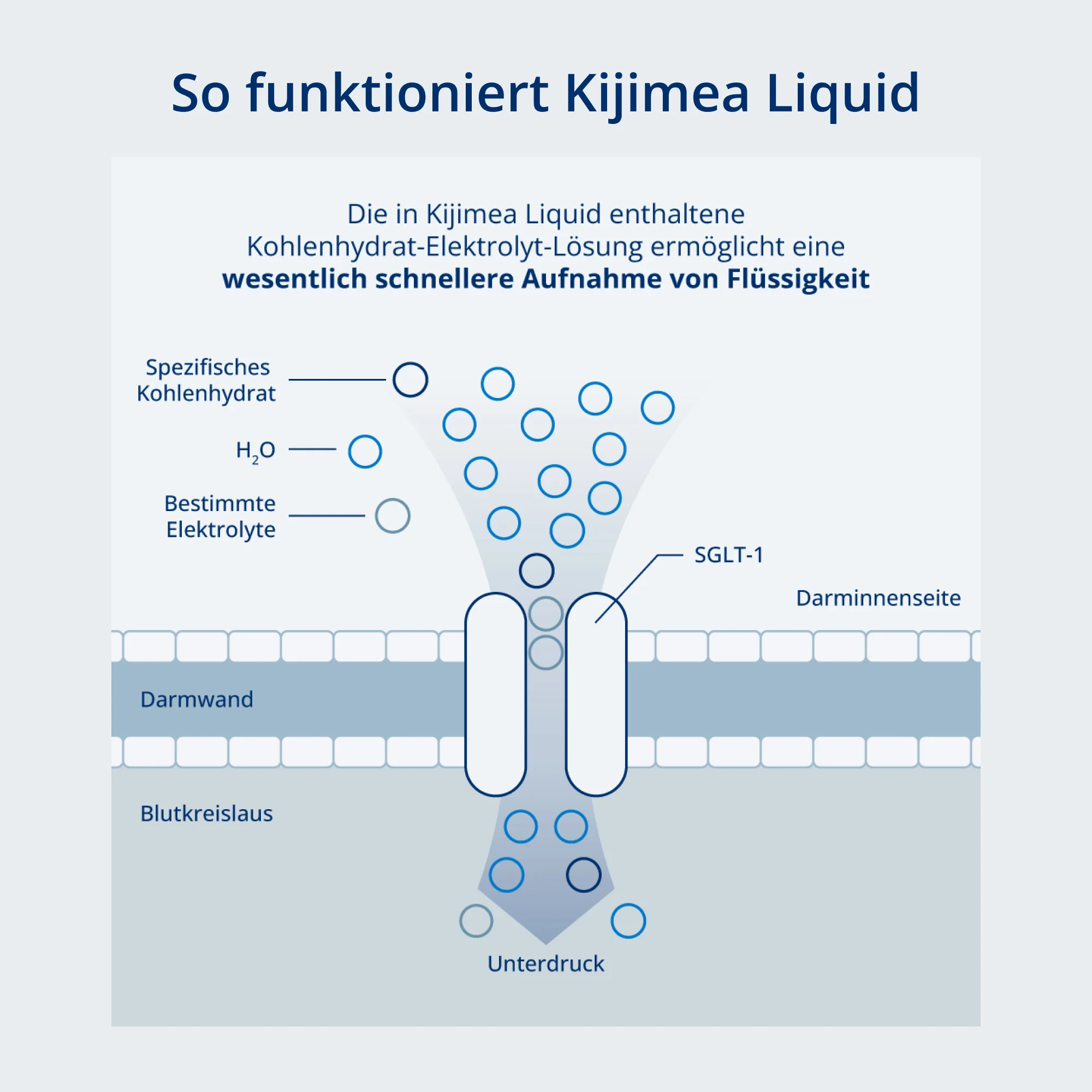 Kijimea Liquid - Image 4